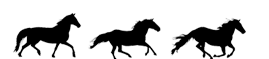horsesbg